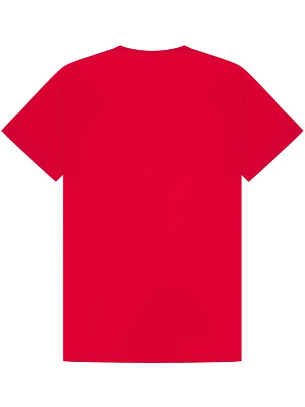 Casual Classics Premium Ringspun 180 Regular Fit Tee Adult