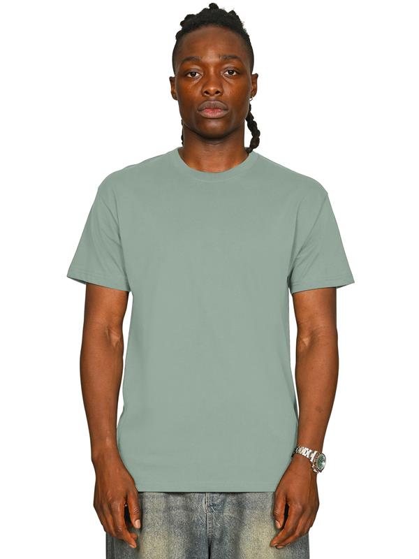 Casual Classics Core Organic Combed 180 Regular Fit Tee Adult