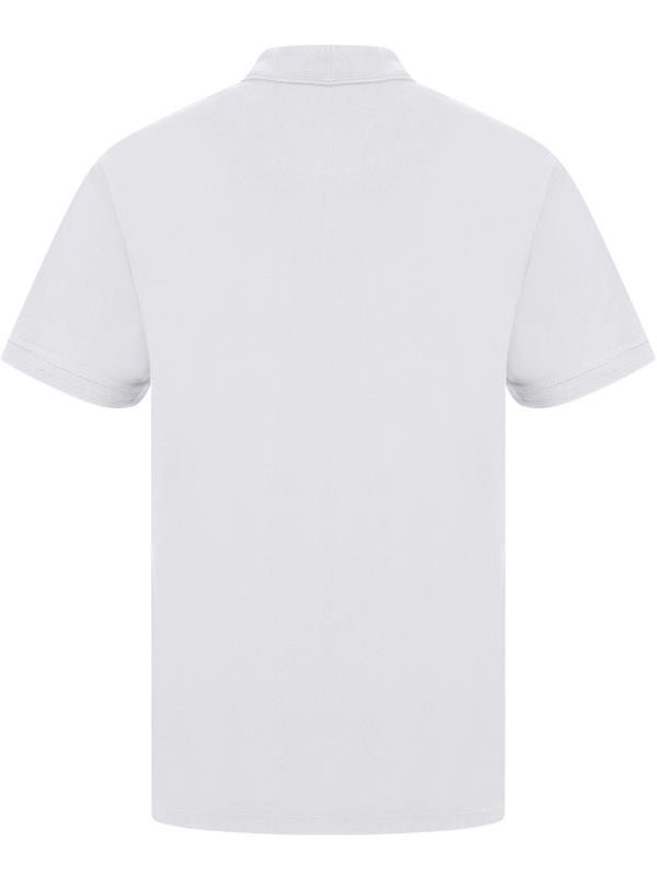 Absolute Apparel Precision Ringspun 240 Classic Fit Polo Adult