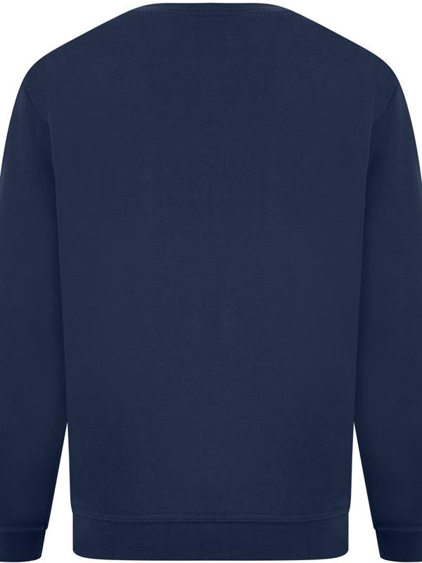 Absolute Apparel Sterling Ringspun 300 Classic Fit Sweat Adult