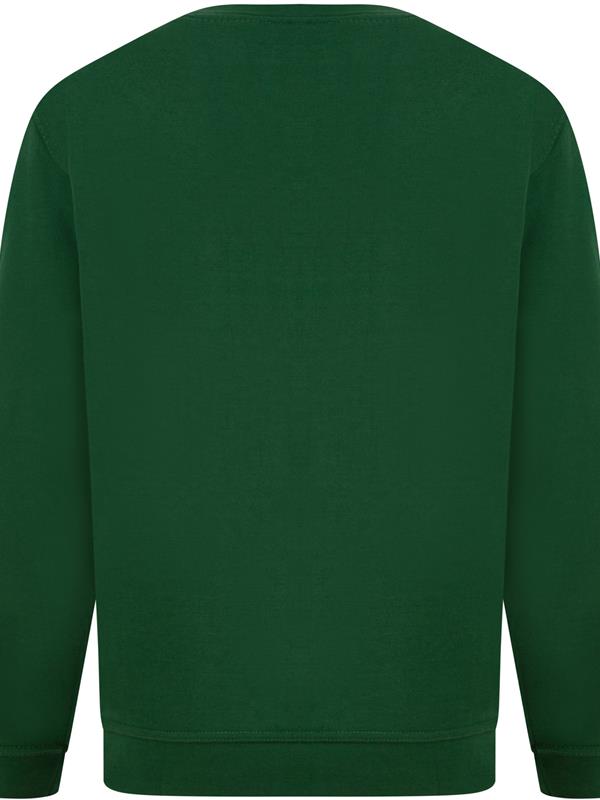 Absolute Apparel Sterling Ringspun 300 Classic Fit Sweat Adult