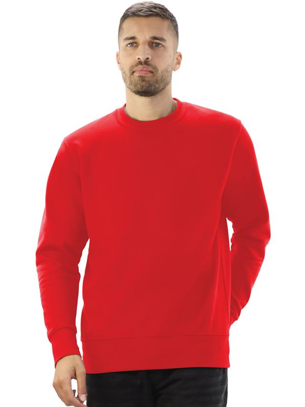 Absolute Apparel Sterling Ringspun 300 Classic Fit Sweat Adult