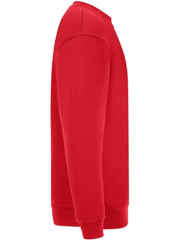 Absolute Apparel Sterling Ringspun 300 Classic Fit Sweat Adult