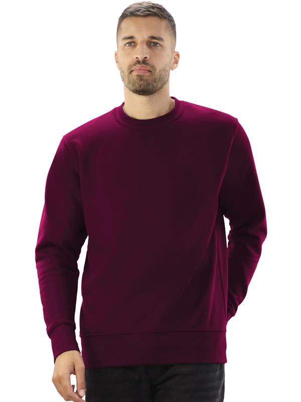 Absolute Apparel Sterling Ringspun 300 Classic Fit Sweat Adult