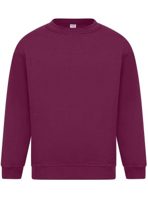 Absolute Apparel Sterling Ringspun 300 Classic Fit Sweat Adult - Image 11