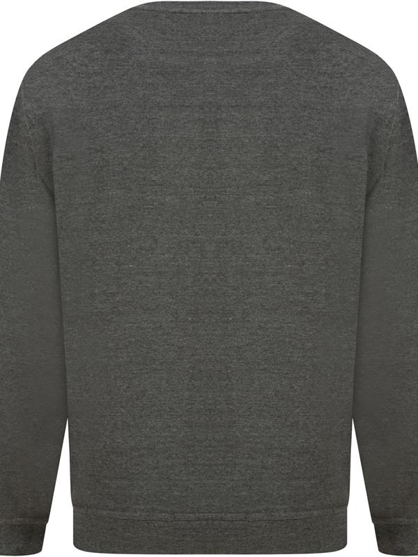 Absolute Apparel Sterling Ringspun 300 Classic Fit Sweat Adult