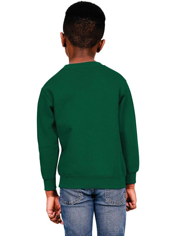 Casual Classics Classic Ringspun 280 Regular Fit Sweat Kids