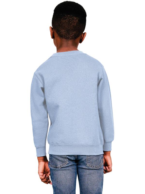 Casual Classics Classic Ringspun 280 Regular Fit Sweat Kids
