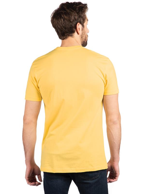 Next Level Apparel Cotton Combed 145 Regular Fit Tee Adult