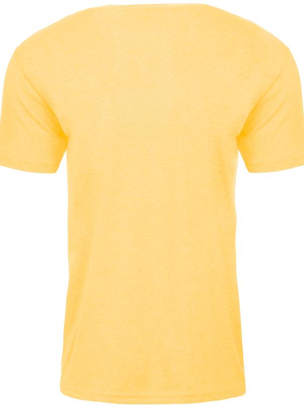Next Level Apparel CVC Combed 145 Regular Fit Tee Adult