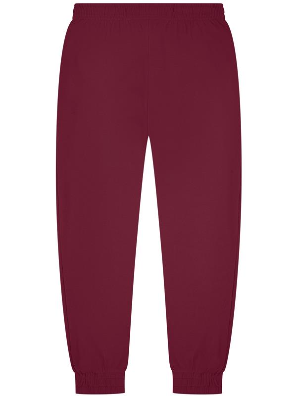 Casual Classics Core Combed 280 Regular Fit Jogpant Adult