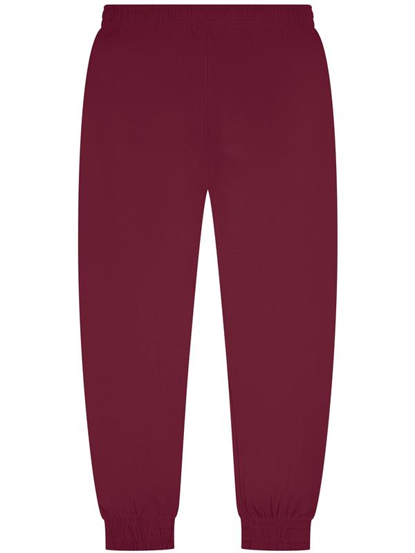 Casual Classics Core Combed 280 Regular Fit Jogpant Adult