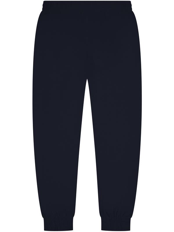 Casual Classics Core Combed 280 Regular Fit Jogpant Adult