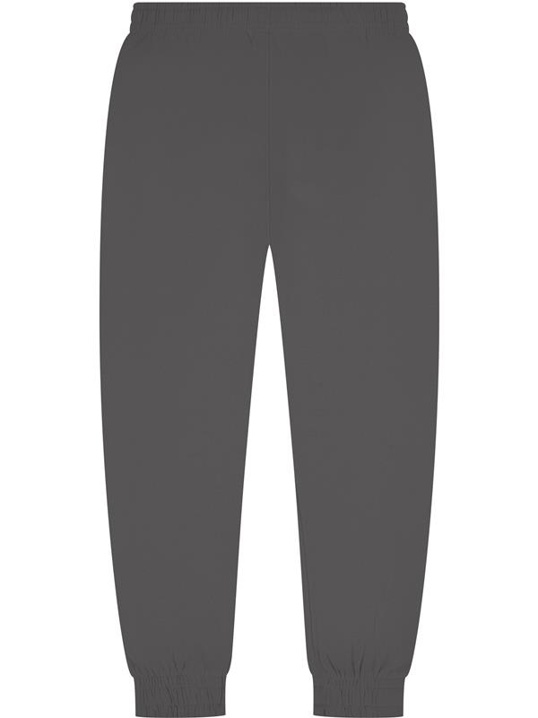 Casual Classics Core Combed 280 Regular Fit Jogpant Adult