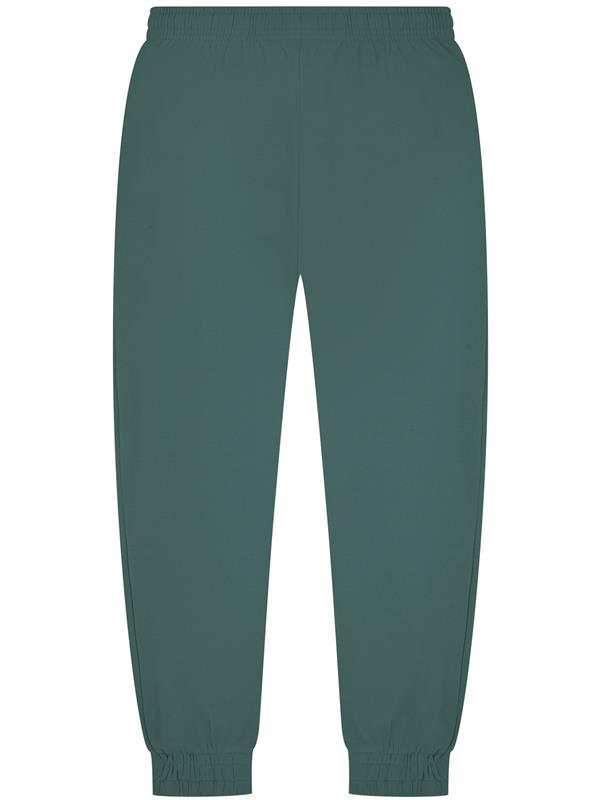 Casual Classics Core Combed 280 Regular Fit Jogpant Adult