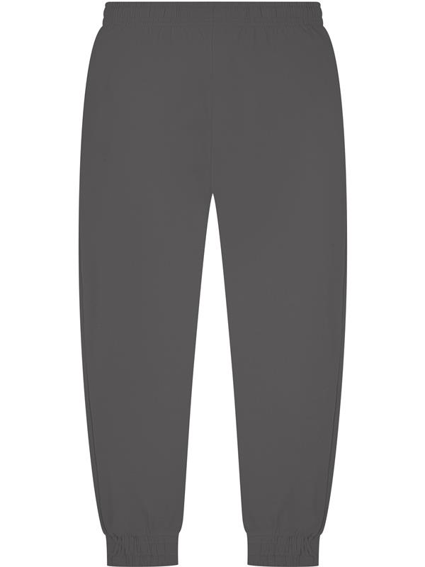 Casual Classics Core Combed 280 Regular Fit Jogpant Tall Adult