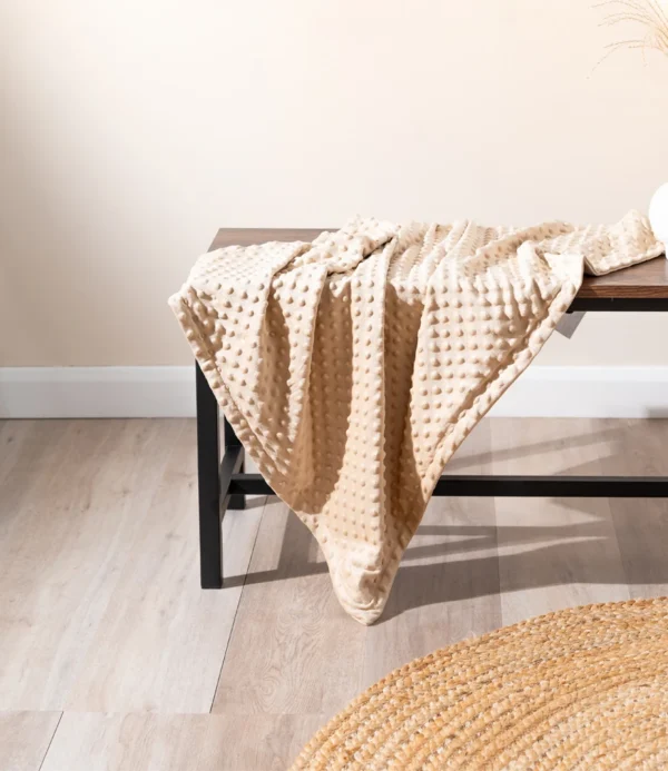 Brand Lab Minky Fleece Blanket